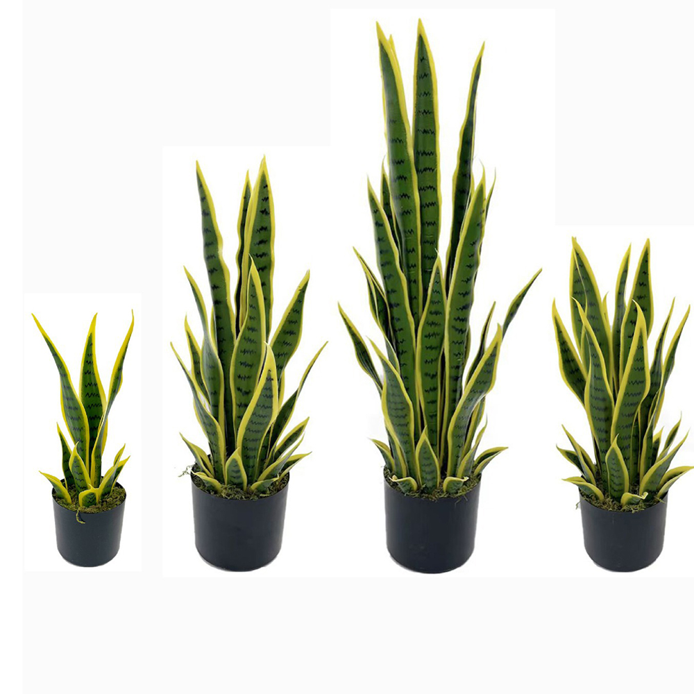 Snake Plant - Искусственная сансевиерия (плющ) 40-100 см в