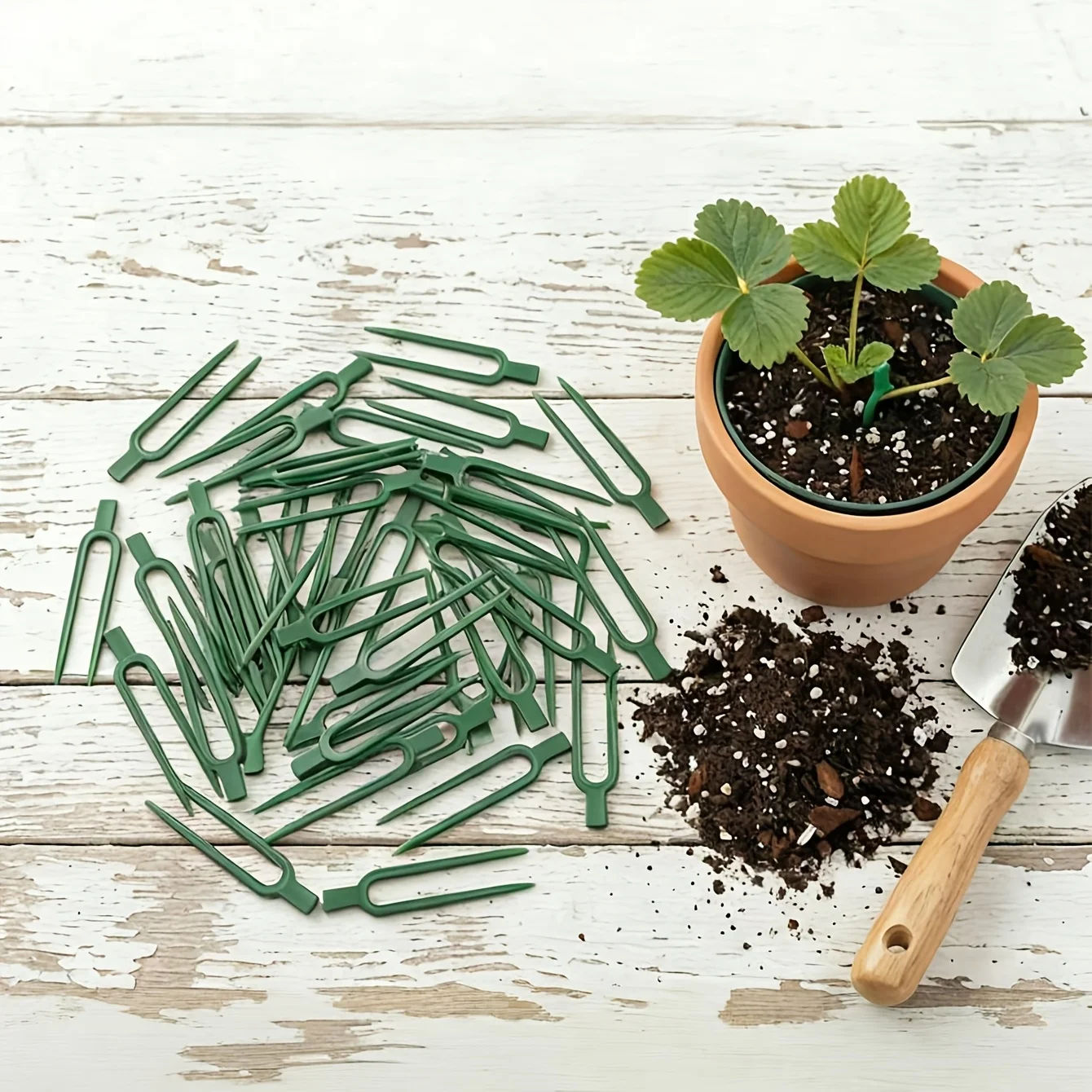 Plant Support Stake - 50 шт. пластиковых вилок для распределения