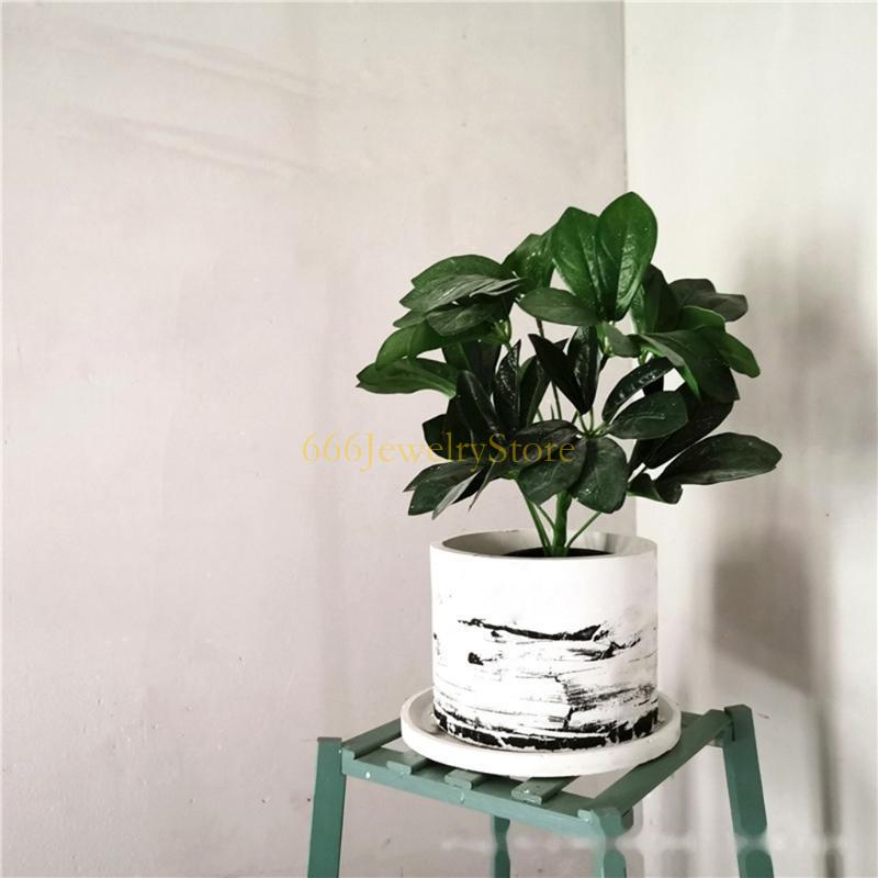 F2TD Большой круглый сочный пи – обзор и цена Terracotta Pot