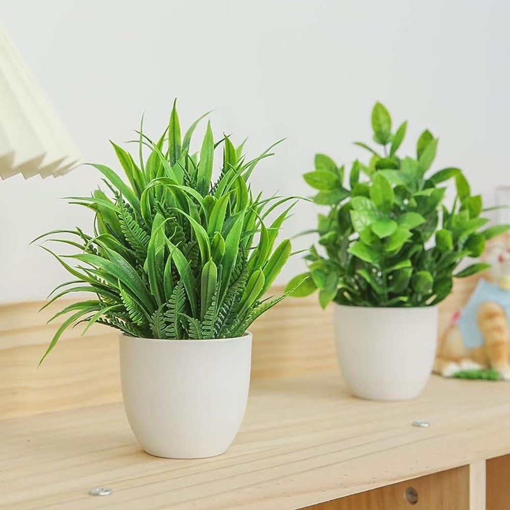 Набор из 4 миниатюрных искусст – обзор и цена Succulent Set