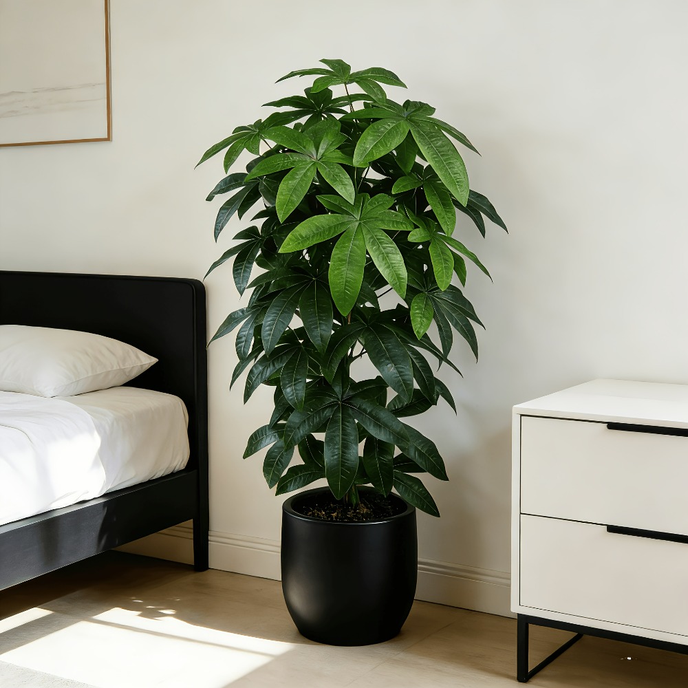 Искусственное денежное дерево  – обзор и цена Fiddle Leaf Fig